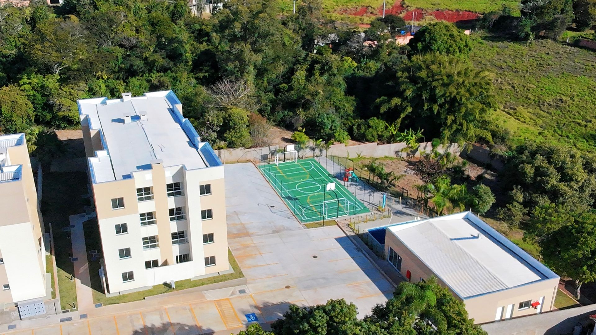 imagem-1752072992-5517