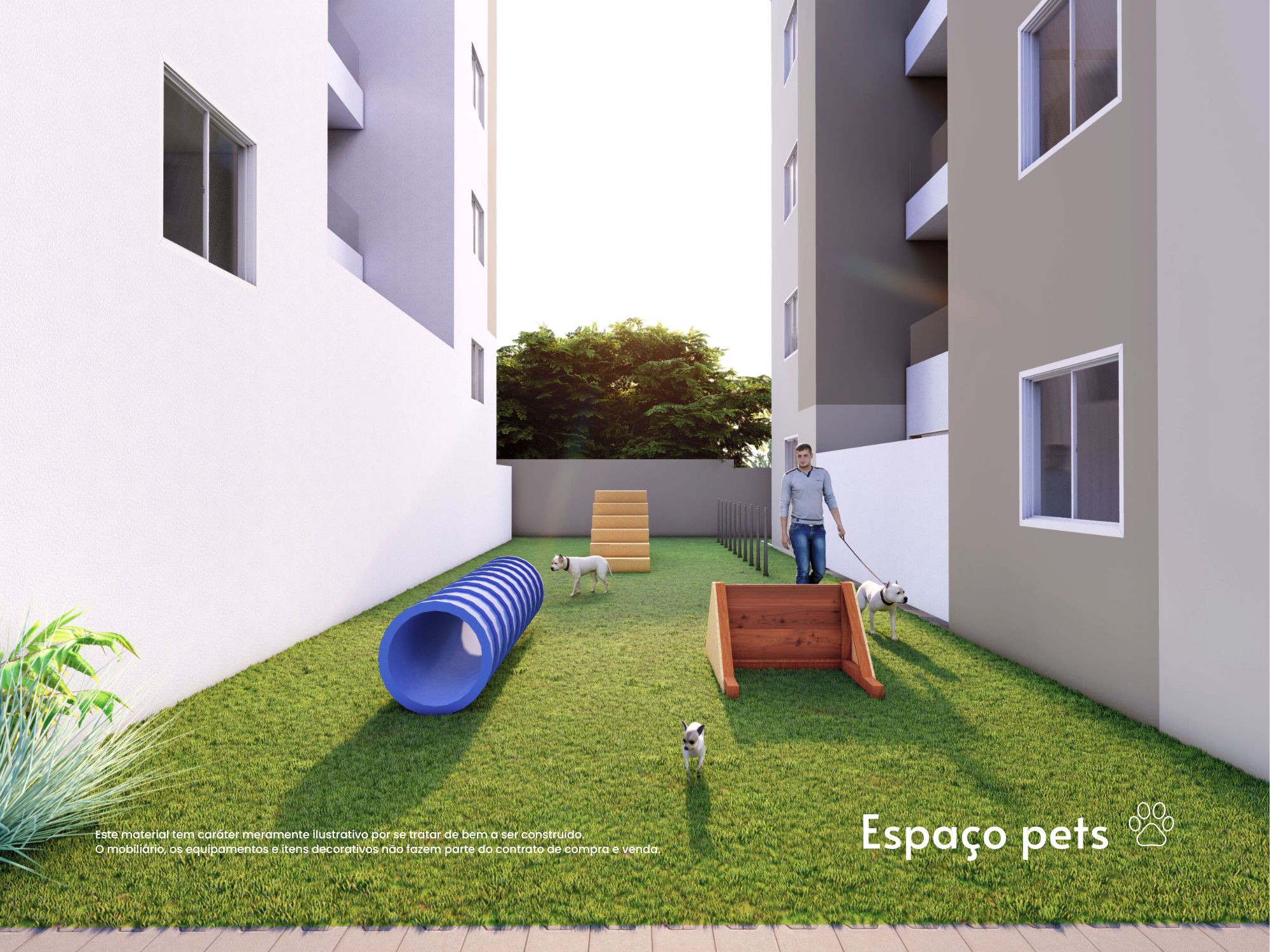 imagem-1752073140-8583